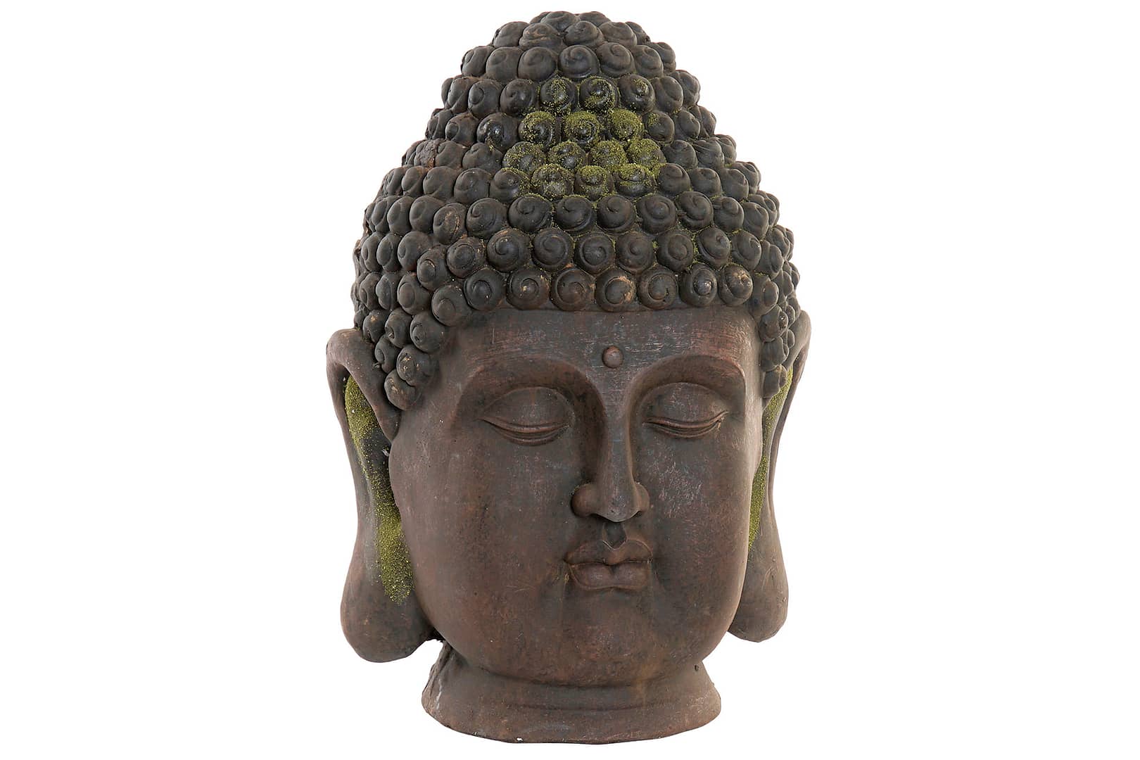 Buddha Moss Dark